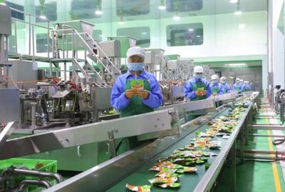 稅費(fèi)&ldquo;退減緩&rdquo; 穩(wěn)崗就業(yè)惠民生