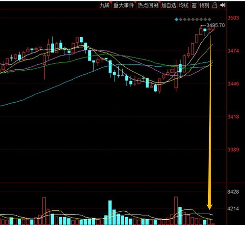 探尋同花順圈子的炒股高手 聚焦食品股份的投資機遇