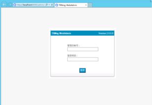 及時(shí)雨TRMSG通訊系統(tǒng)界面預(yù)覽與信息系統(tǒng)集成服務(wù)